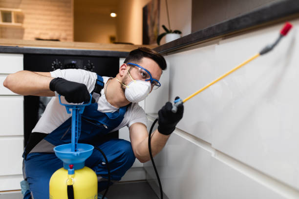 Best Rat Extermination Near Me  in Mcnary, AZ