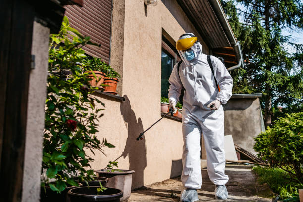 Best Affordable Pest Control Services  in Mcnary, AZ