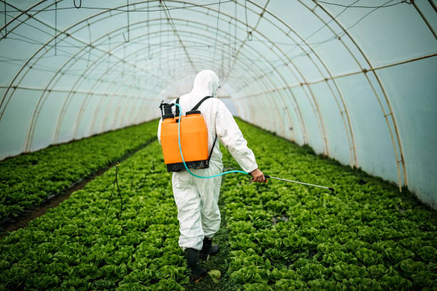 Best Pest Control Cost  in Mcnary, AZ