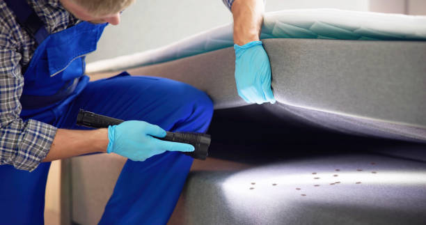 Pest Control for Restaurants in Mcnary, AZ