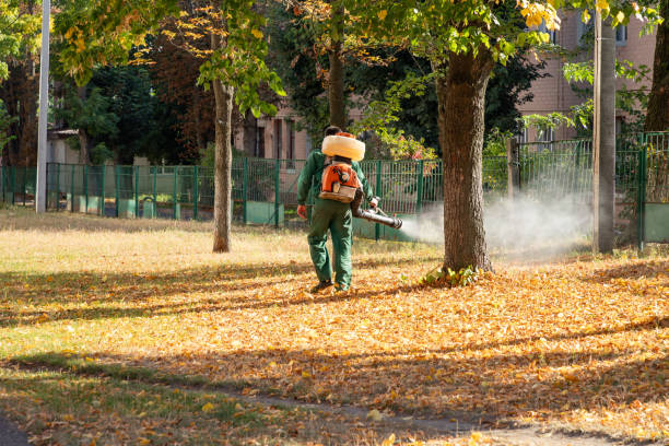 Best Local Pest Control Services  in Mcnary, AZ
