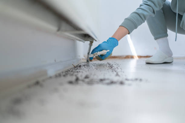 Mcnary, AZ Pest Control Company