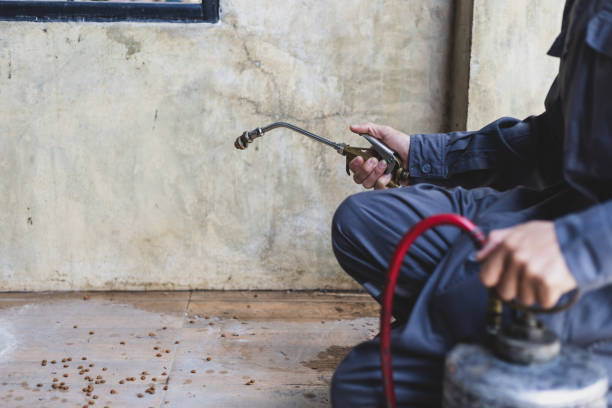 Best Cockroach Control Services  in Mcnary, AZ